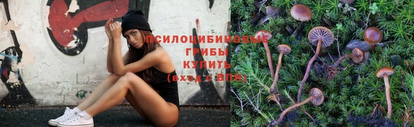 ешки Осинники