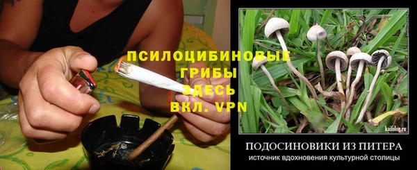 ПСИЛОЦИБИНОВЫЕ ГРИБЫ Осташков