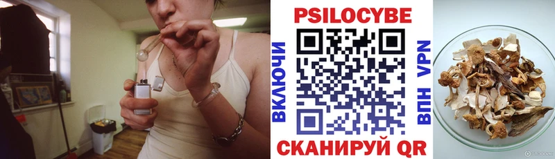 кракен как зайти  Орлов  Псилоцибиновые грибы прущие грибы  закладка 
